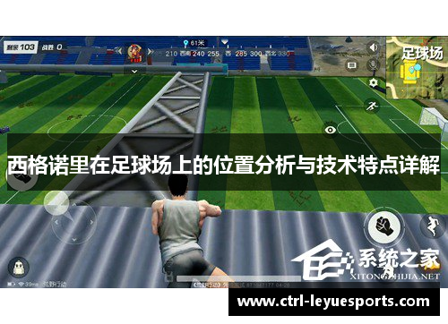 西格诺里在足球场上的位置分析与技术特点详解