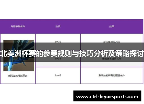 北美洲杯赛的参赛规则与技巧分析及策略探讨