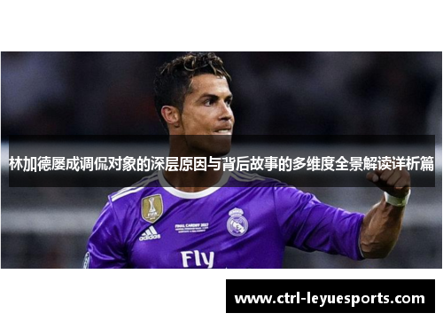 林加德屡成调侃对象的深层原因与背后故事的多维度全景解读详析篇