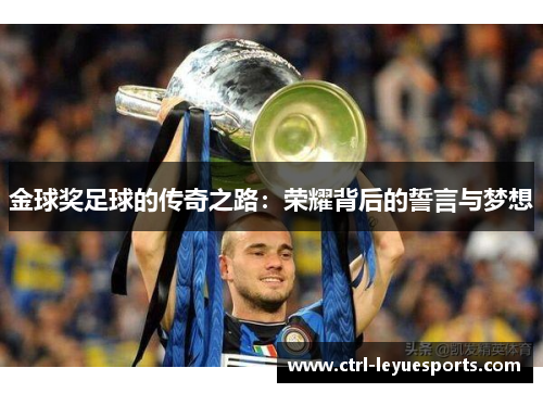 金球奖足球的传奇之路：荣耀背后的誓言与梦想