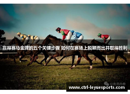 赢得赛马金牌的五个关键步骤 如何在赛场上脱颖而出并取得胜利